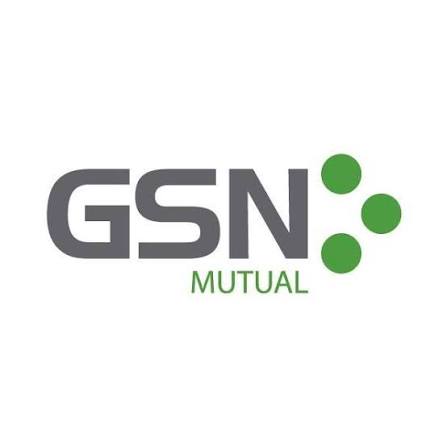 Logo Grupo San Nicolás